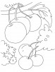 Cherry berry coloring page
