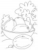 Sweet chickoo Coloring Pages