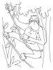 Chimpanzees rope ladder coloring pages