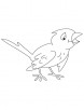 Chirp chirp coloring page