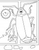 Cockroach Coloring Page