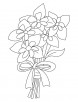 Columbine bouquet coloring page