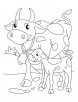 Cow mother with its calf coloring pages