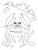 crackling crab coloring pages