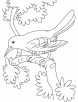 sad cuckoo bird sitting on a branch coloring page