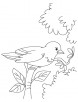 Little sparrow coloring page