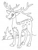Happy deer coloring page