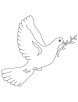 Dove a symbol of peace coloring page