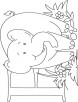 E for elephant coloring page for kids