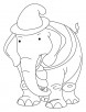 Elephant wearing the hat coloring page