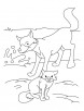 Fox and Cub coloring page