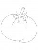 Fresh tomato coloring page