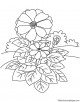 Zinnia Coloring Page