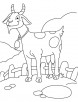 Glad goat coloring page