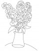 Gladiolus alatus coloring page