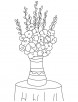 Gladiolus bulbs coloring page