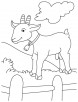 Goat in fence coloring page