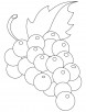 Green grapes coloring pages