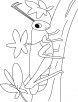 Grasshopper on a walk coloring pages
