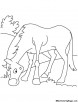 Grazing horse coloring page