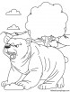 Grizzly bear coloring page