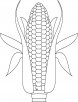 Growing corn coloring page