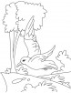A flying gull coloring page