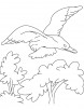 A Gull bird is fly high coloring page