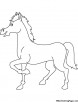 Handsome horse coloring page