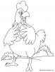 Hen coloring page 29