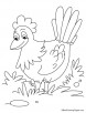 Hen coloring page 3