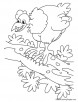 Cock a doodle doo coloring page