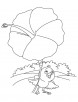 Hibiscus umbrella for bird coloring page