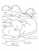 Hippopotamus in relaxing mood coloring pages