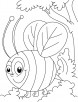 Honey bee busy in squeeze coloring pages