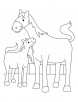 Colt with mother mare coloring page