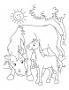 Horse and Colt coloring pages