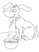 hungry for milk coloring page
