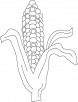 Indian corn coloring page