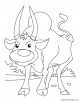 Ox/Bull Coloring Page