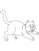 Jumping cat coloring page