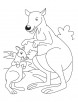 Joey with mother kangaroo coloring pages