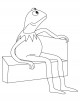 Frog Coloring Page