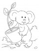 Koala with eucalyptis plant coloring pages