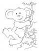 Swinging koala coloring pages