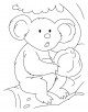 Koala coloring page