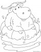 Yak Coloring Page