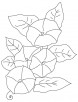 Leli flower coloring page