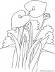 Lily with leaves coloring page