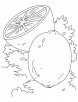 Lime and lemon coloring pages